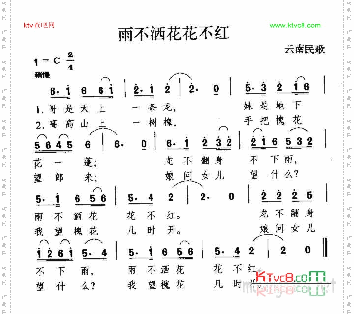雨不洒花花不红云南民歌
