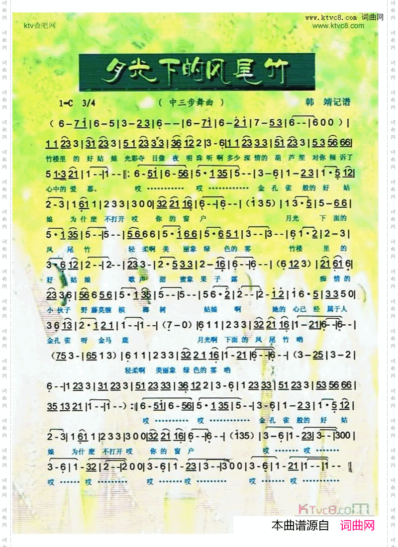 月光下的凤尾竹