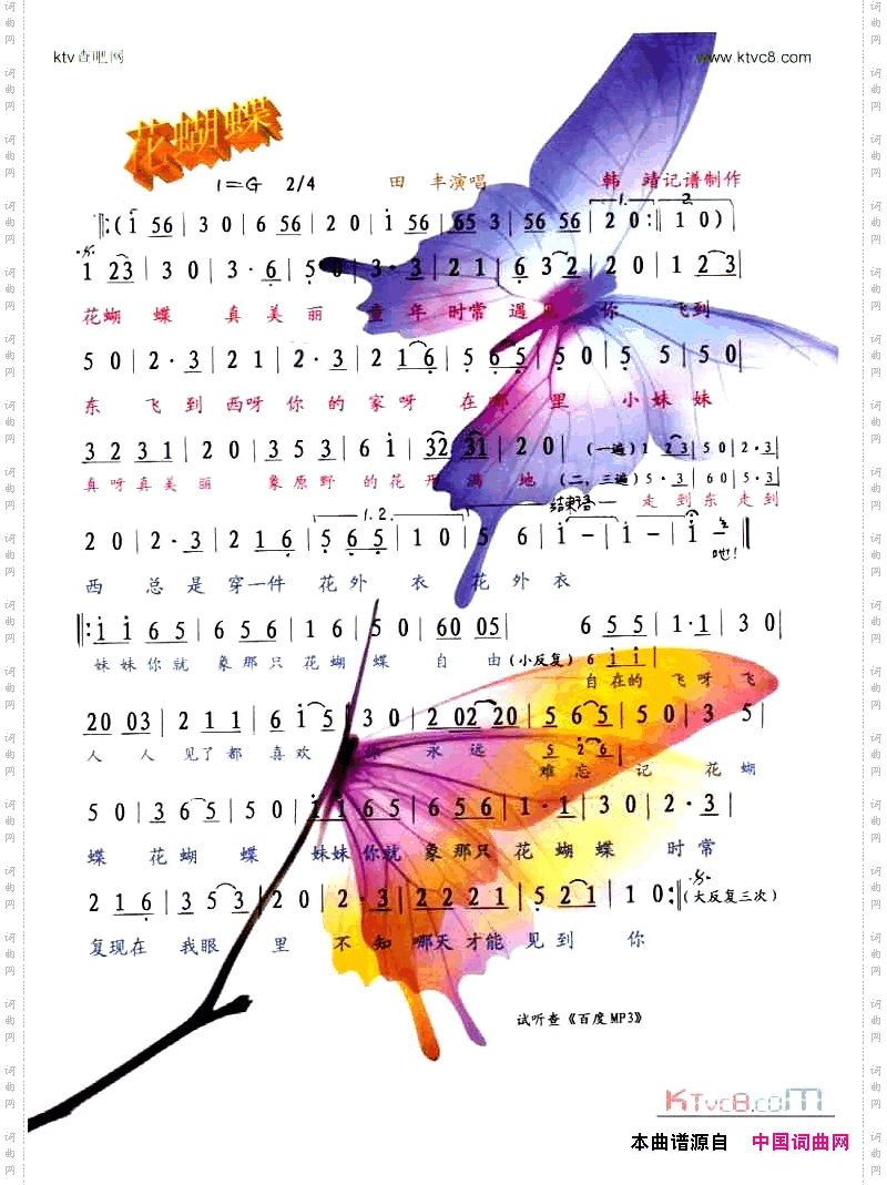 花蝴蝶_【彩谱】