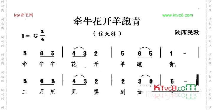 牵牛花开羊跑青陕西民歌_信天游