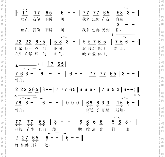 盛开的红莲