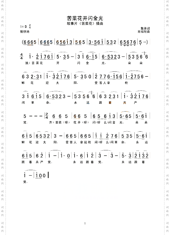 苦菜花开闪金光