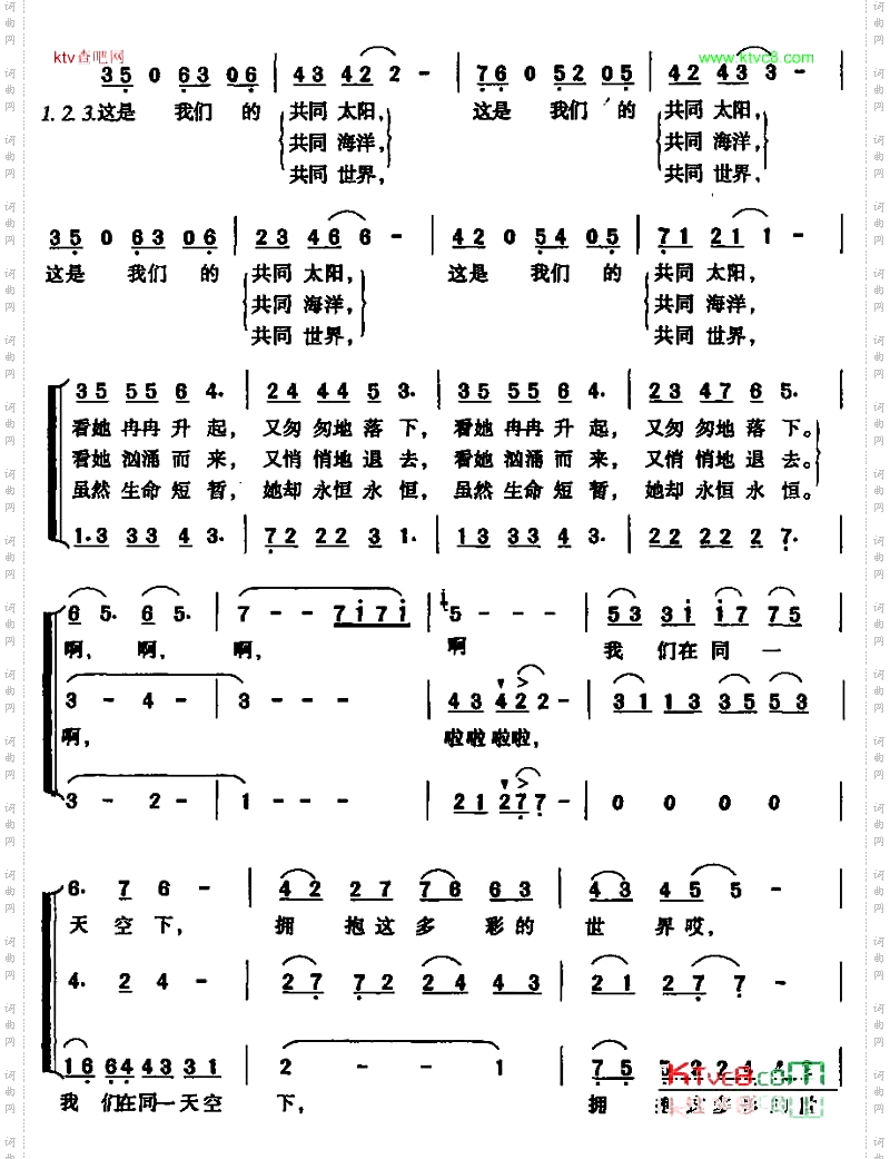 我们共同的世界