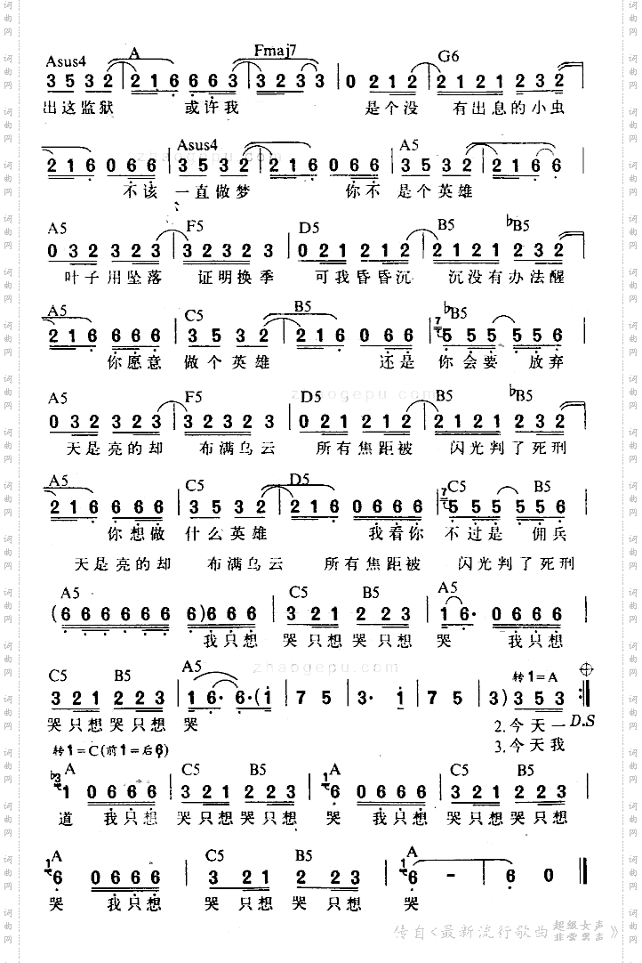 黑色柳丁