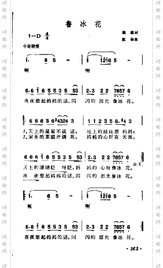 鲁冰花