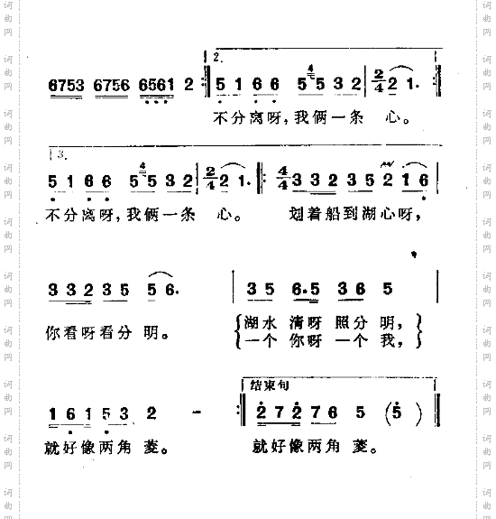 采红菱