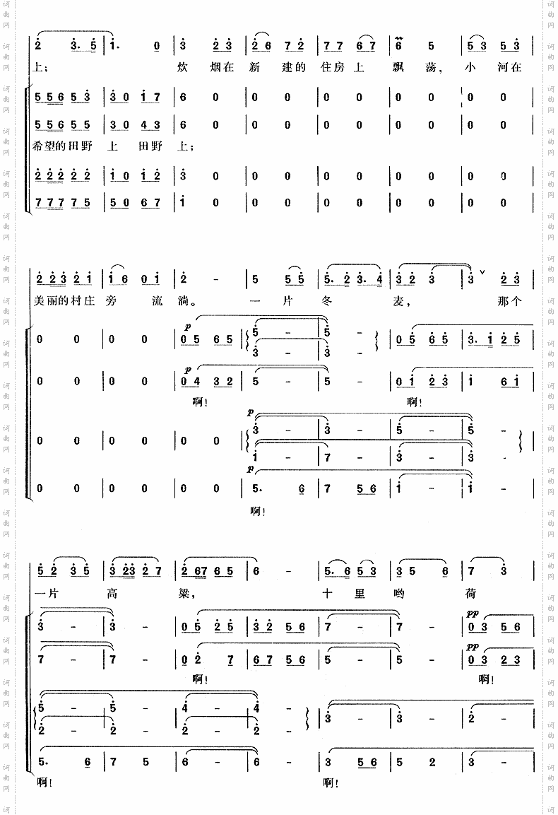 在希望的田野上