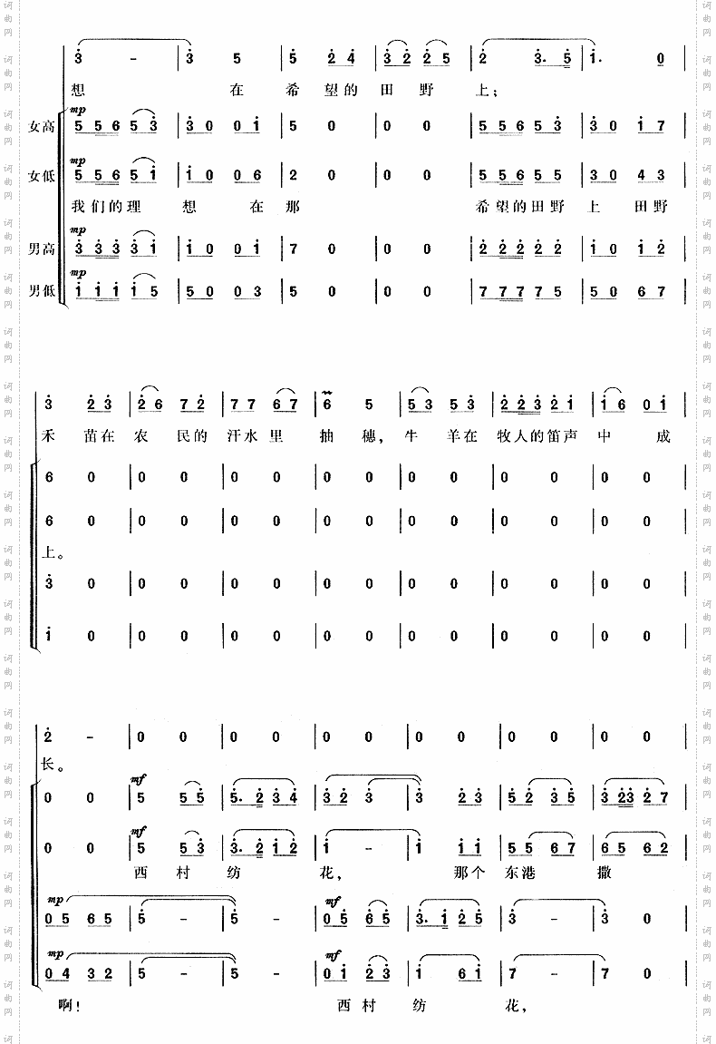 在希望的田野上