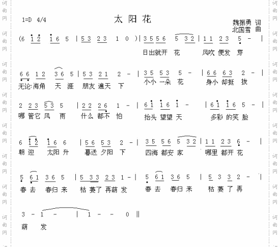 太阳花