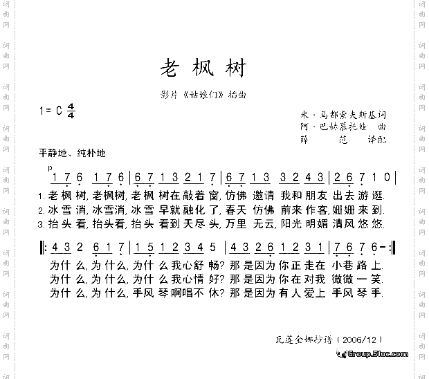 老枫树