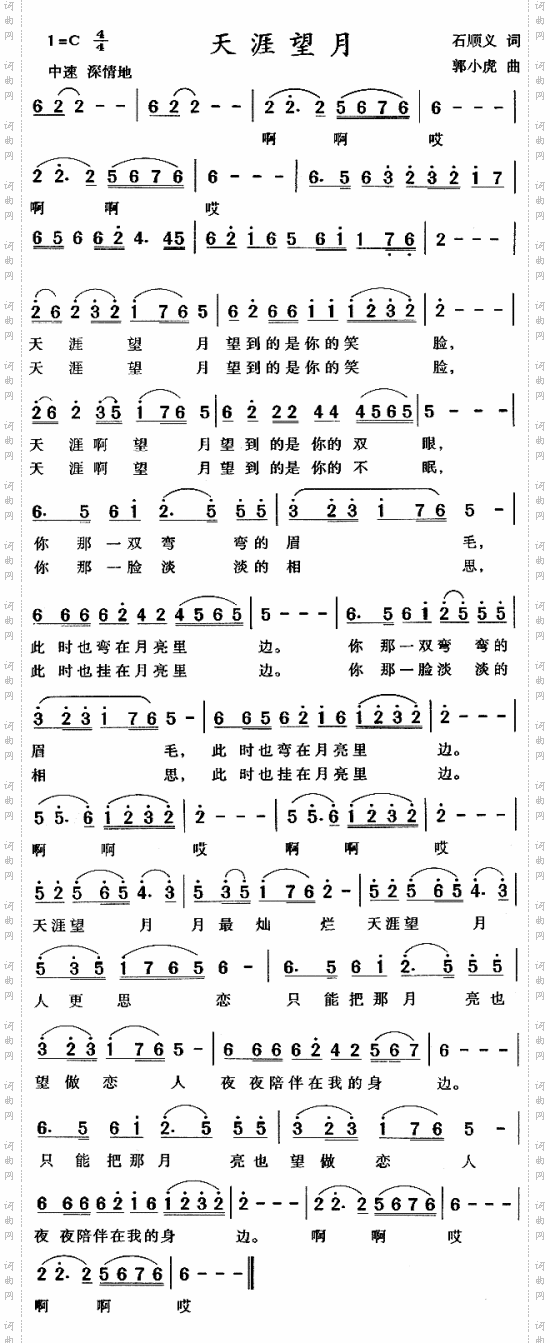 天涯望月