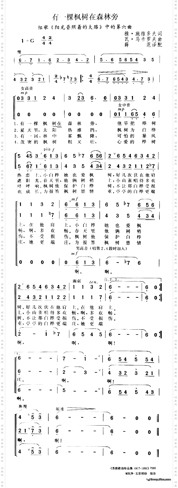 有一棵枫树在森林旁
