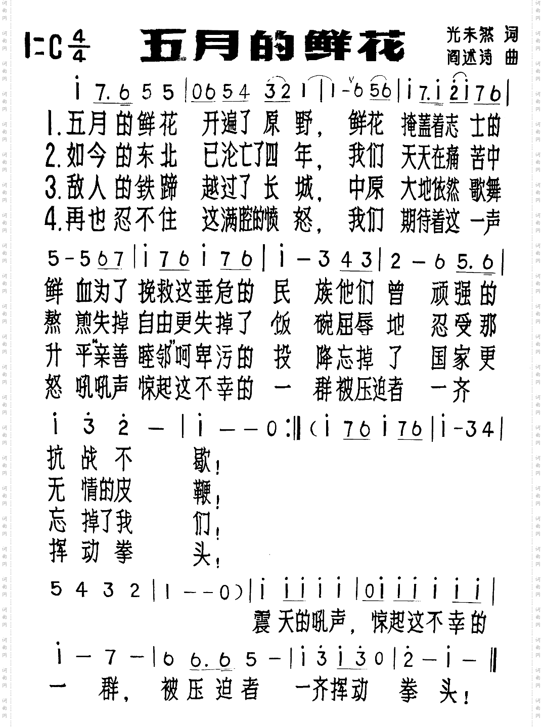 五月的鲜花