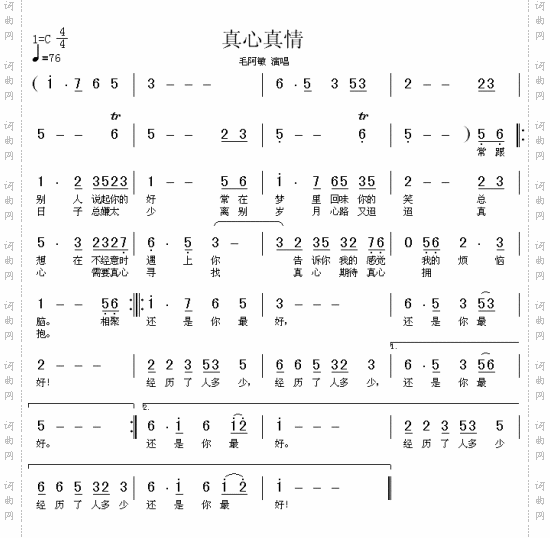 真心真情