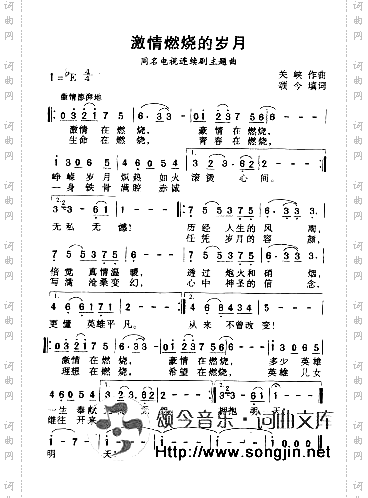 激情燃烧的岁月同名电视连续剧主题曲