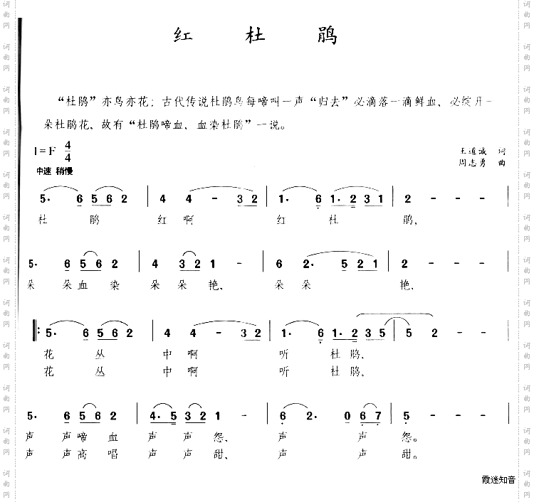 红杜鹃
