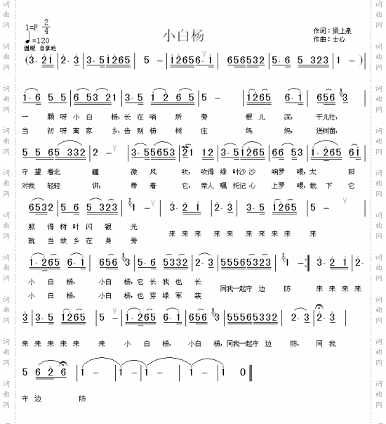 小白杨