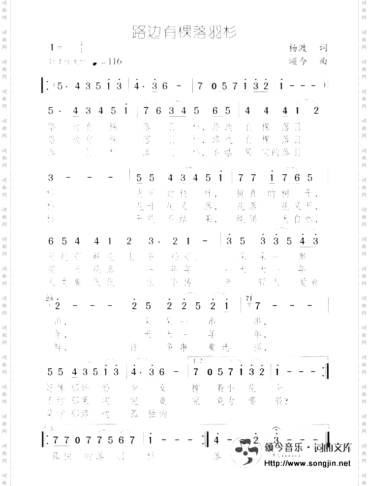 路边有棵落羽杉