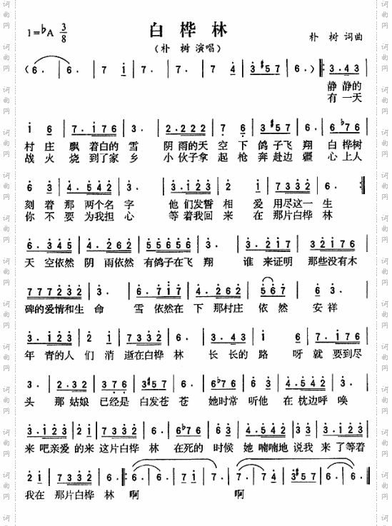 白桦林