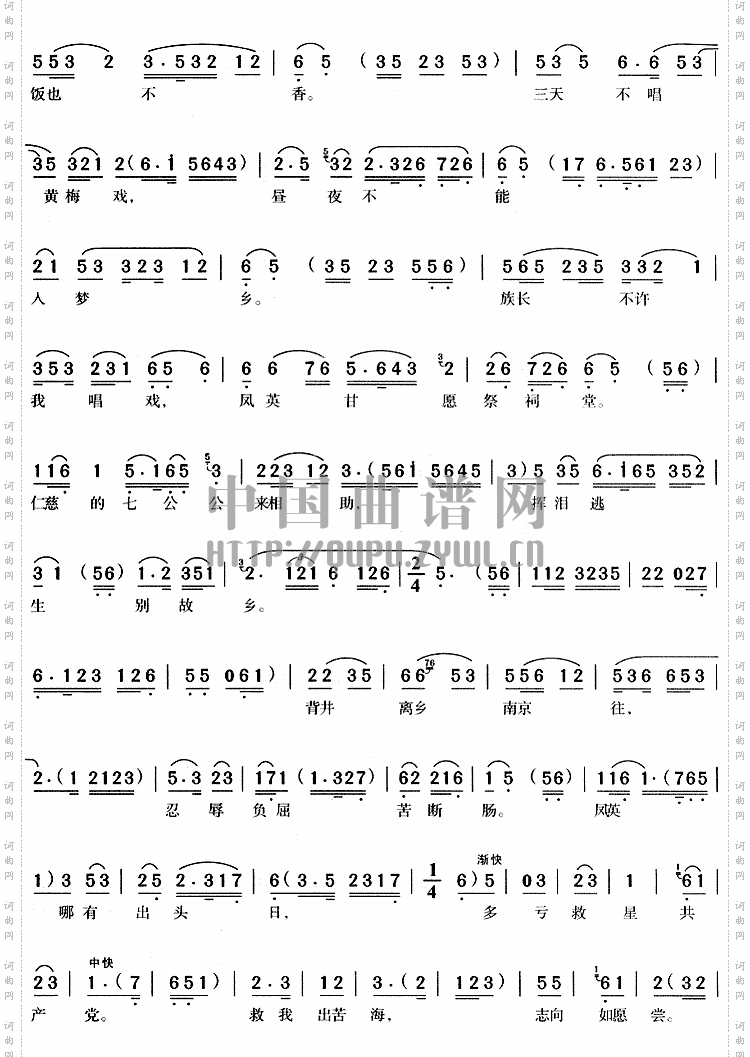 情系黄梅《黄梅女王》