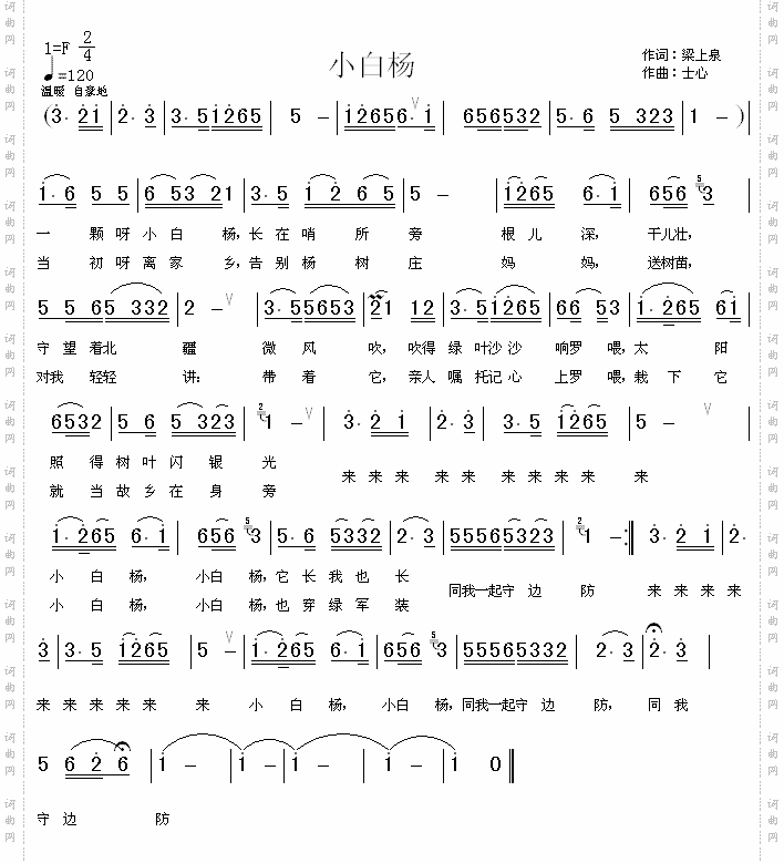 小白杨
