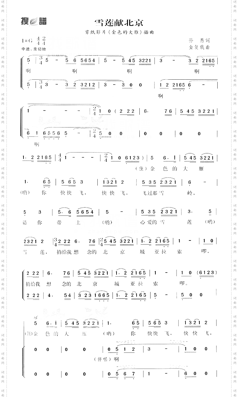 雪莲献北京金色的大雁插曲