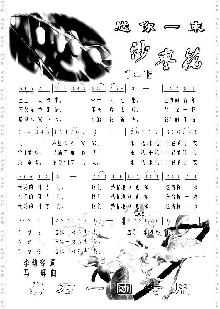 送你一束沙枣花