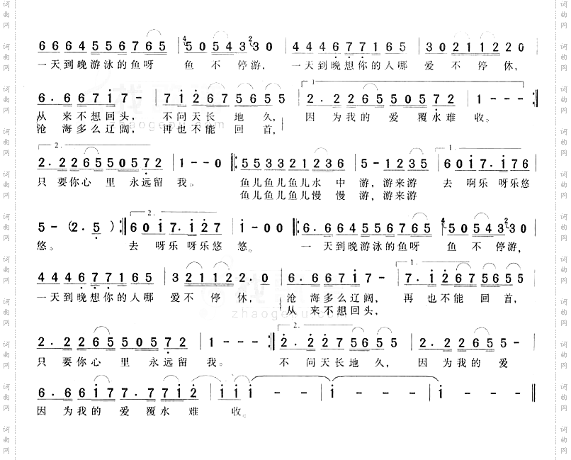 一天到晚游泳的鱼