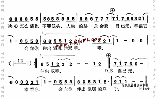 向着阳光走