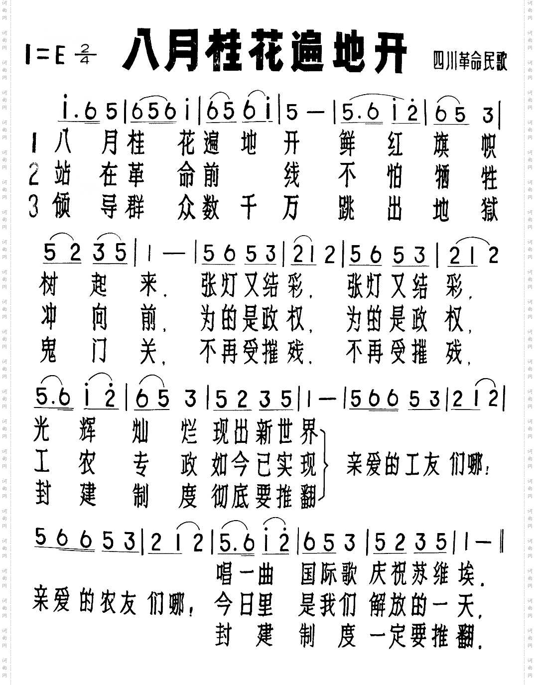 八月桂花遍地开