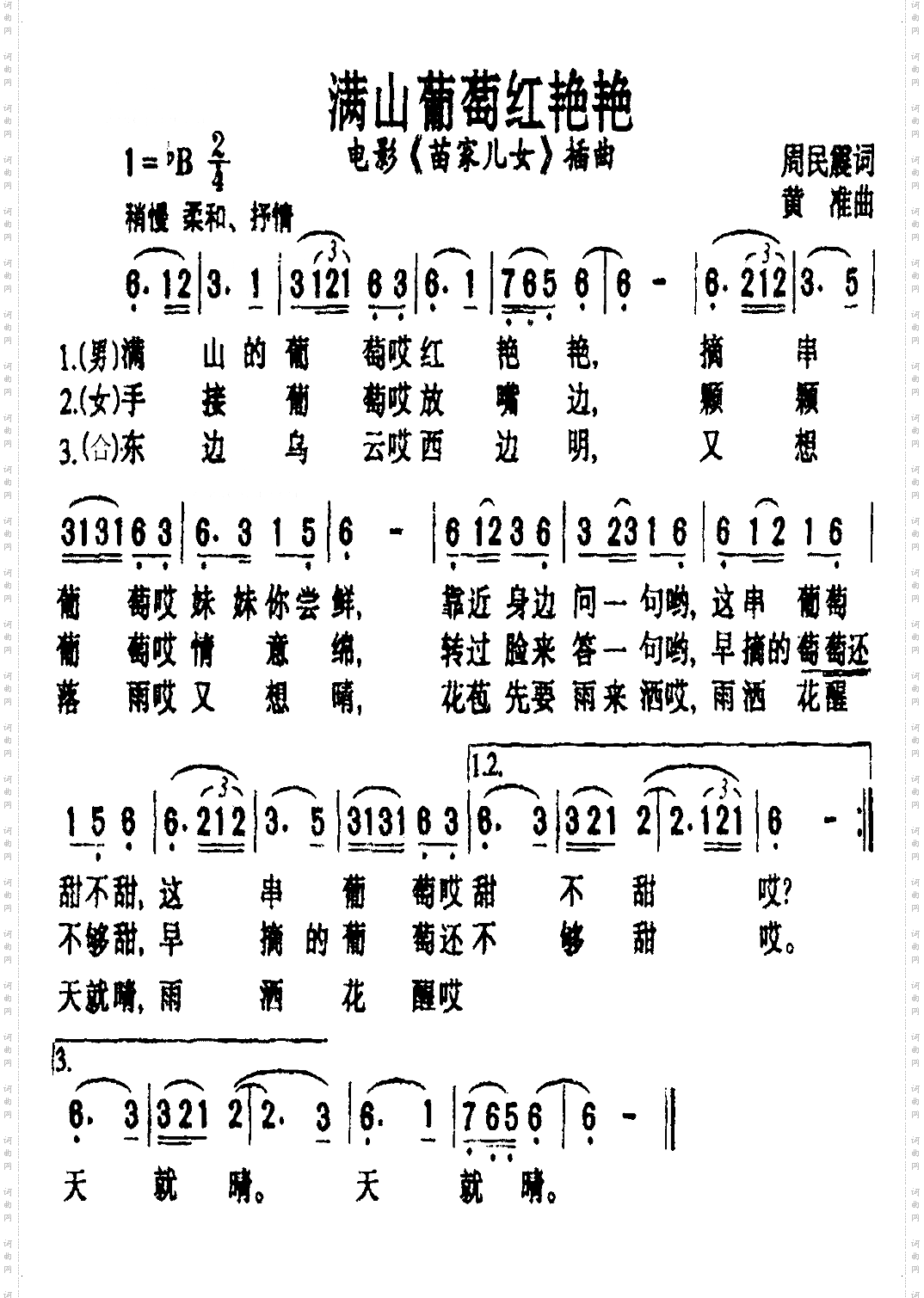 满山的葡萄红艳艳