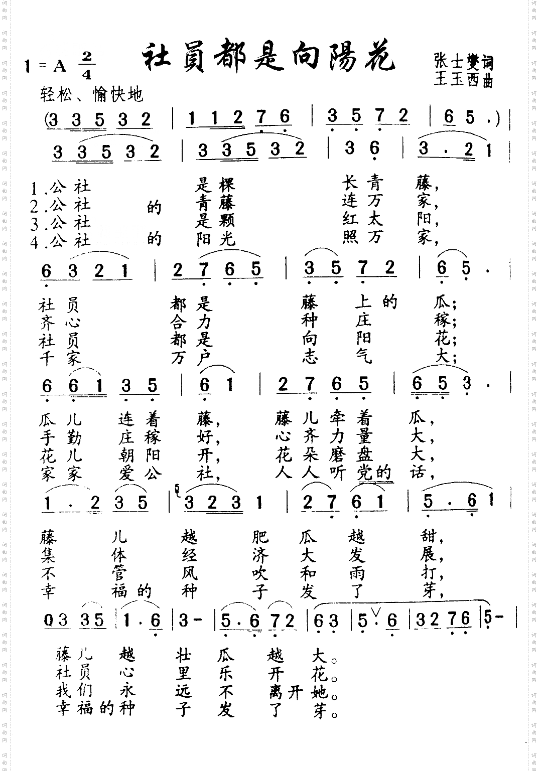 社员都是向阳花