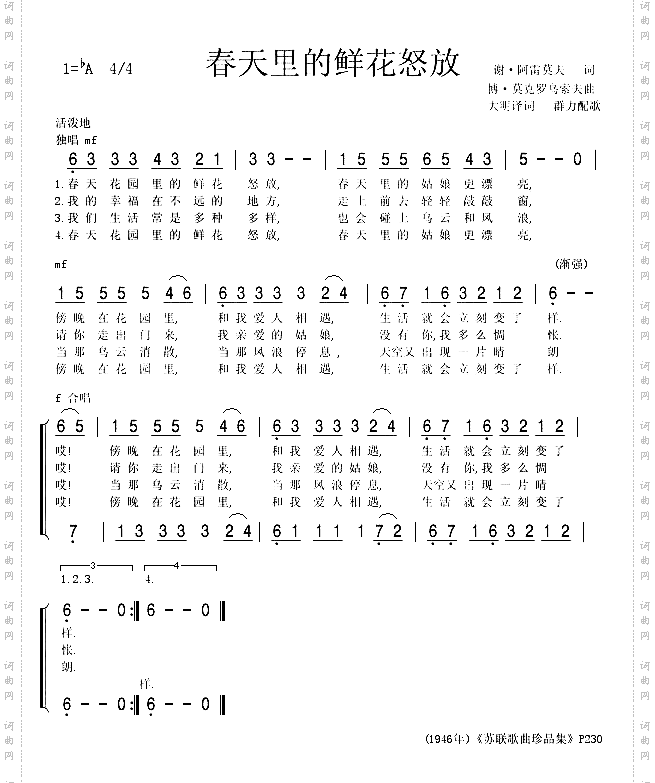 春天里的鲜花怒放