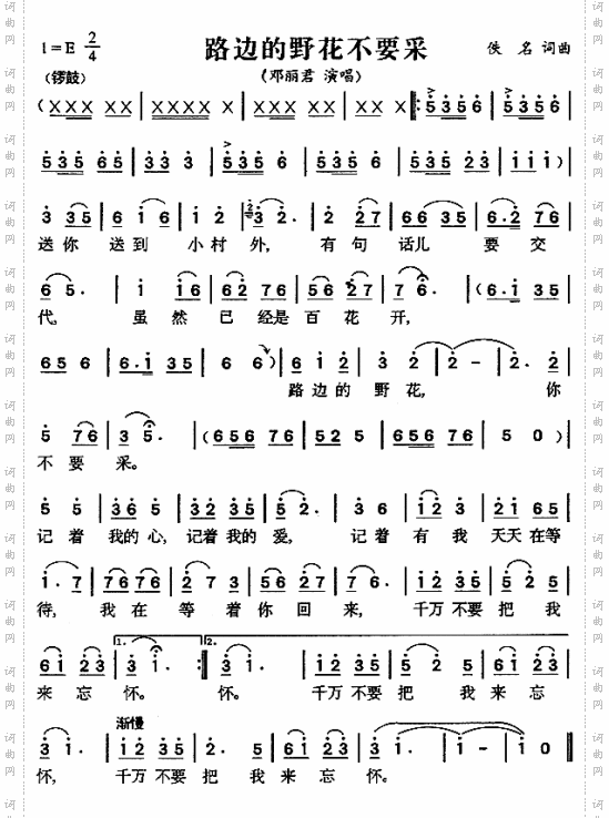 路边的野花不要采