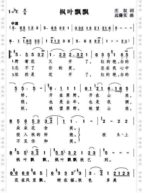 枫叶飘飘