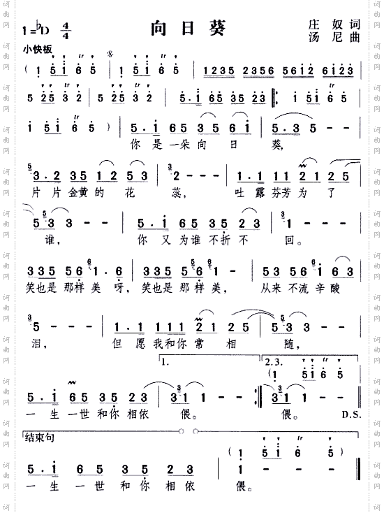 向日葵