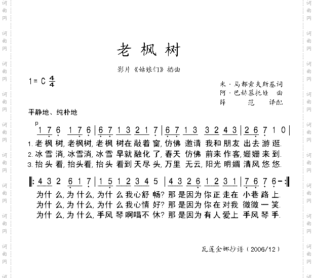 老枫树