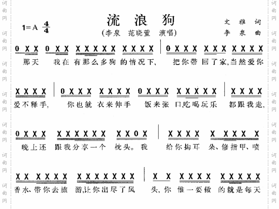 流浪狗