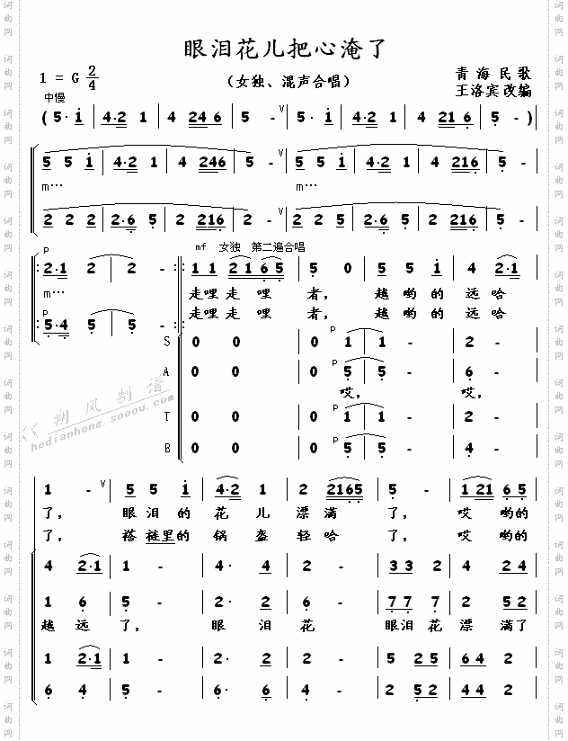 眼泪花儿把心淹了青海