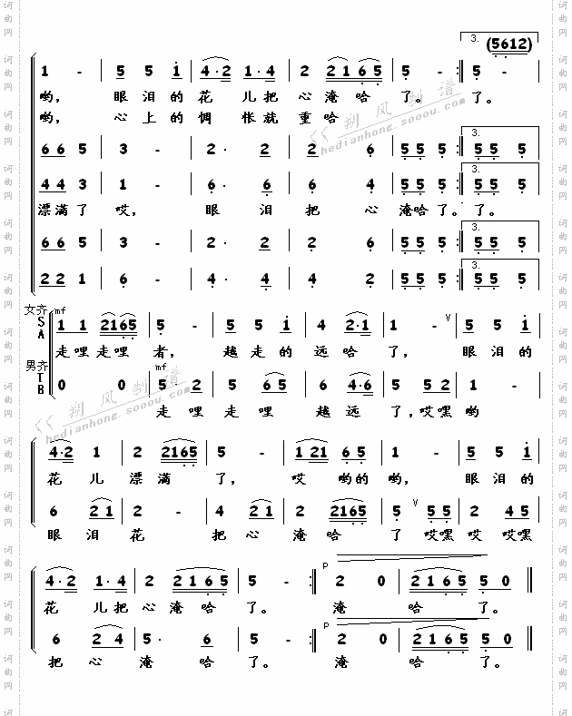 眼泪花儿把心淹了青海