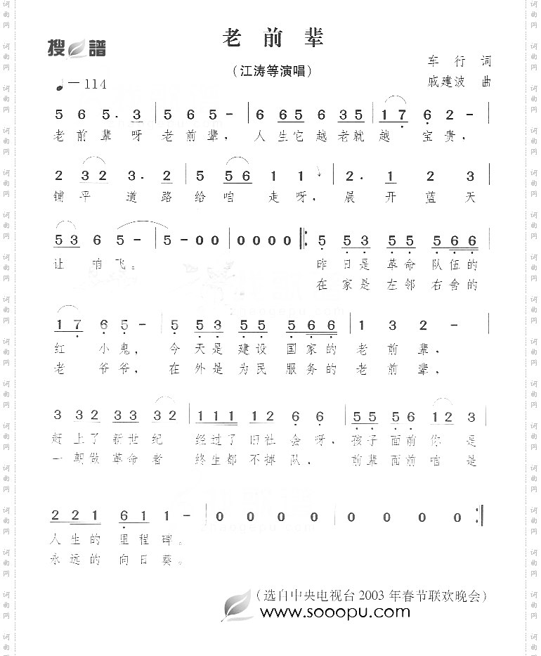 老前辈