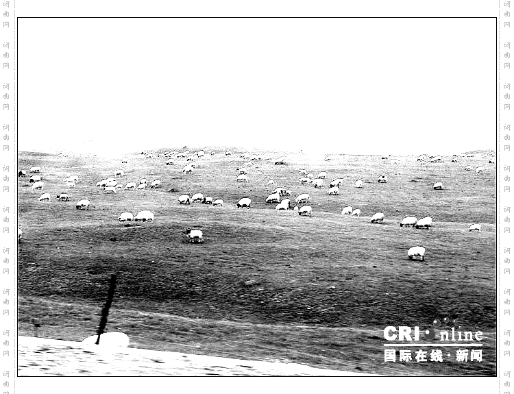 向往的西藏