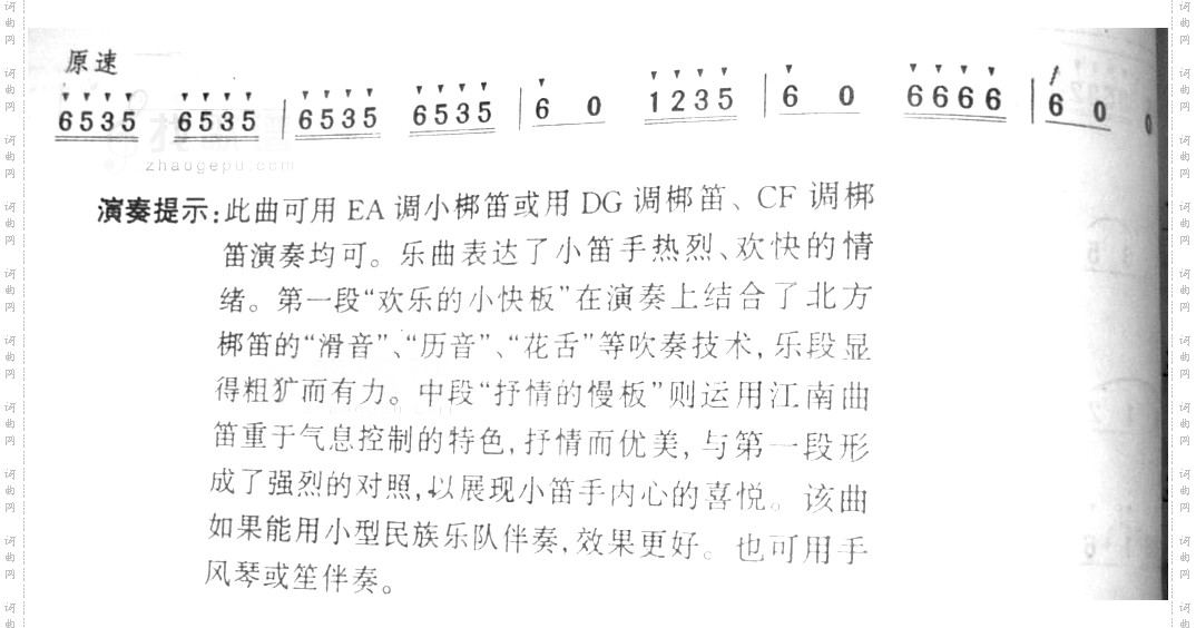 快乐的小笛手