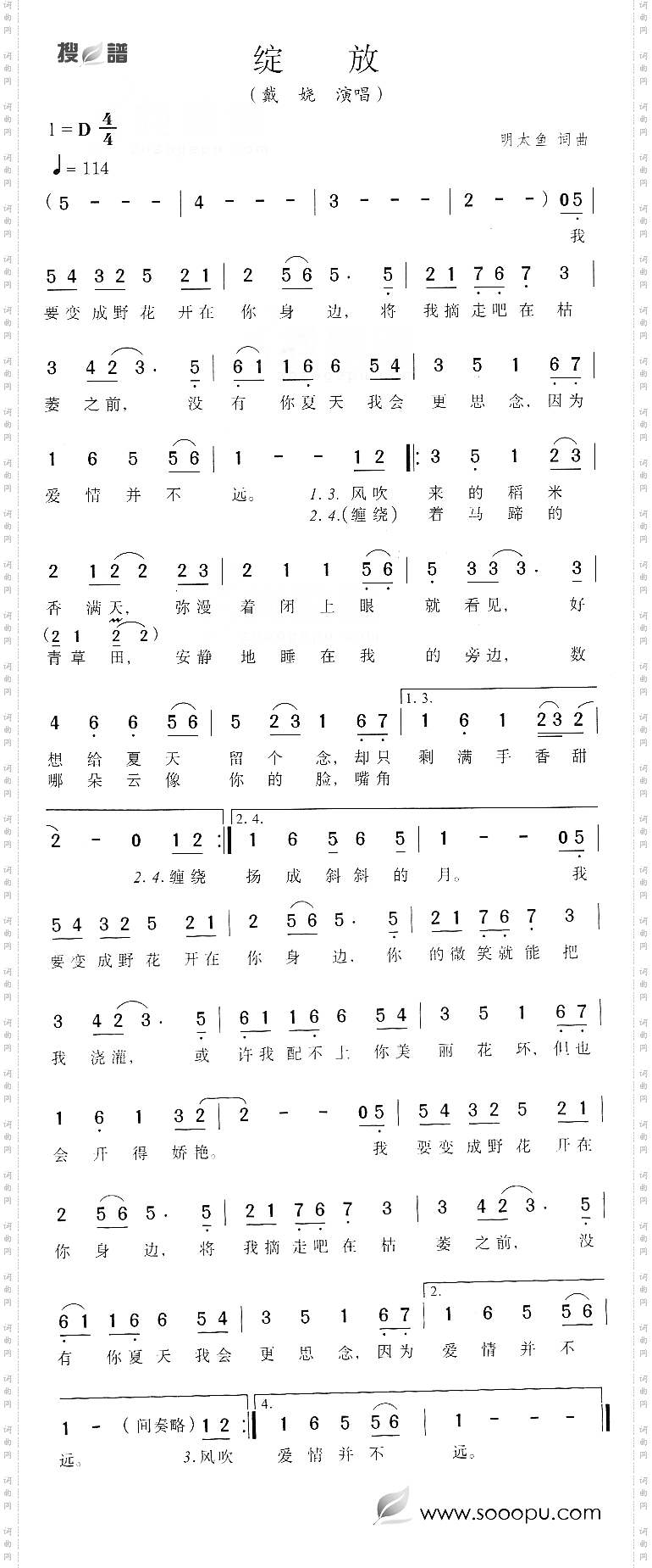 绽放