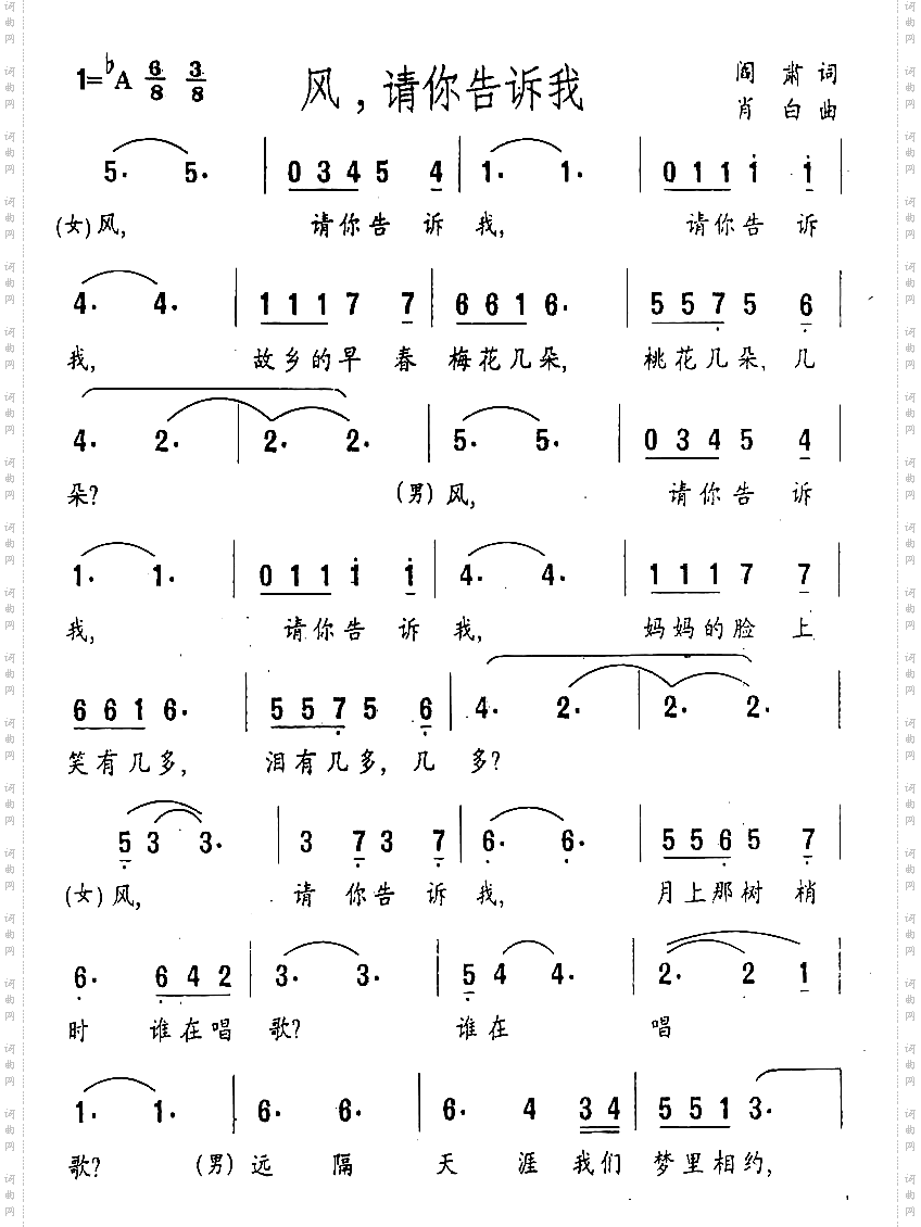 风，请你告诉我