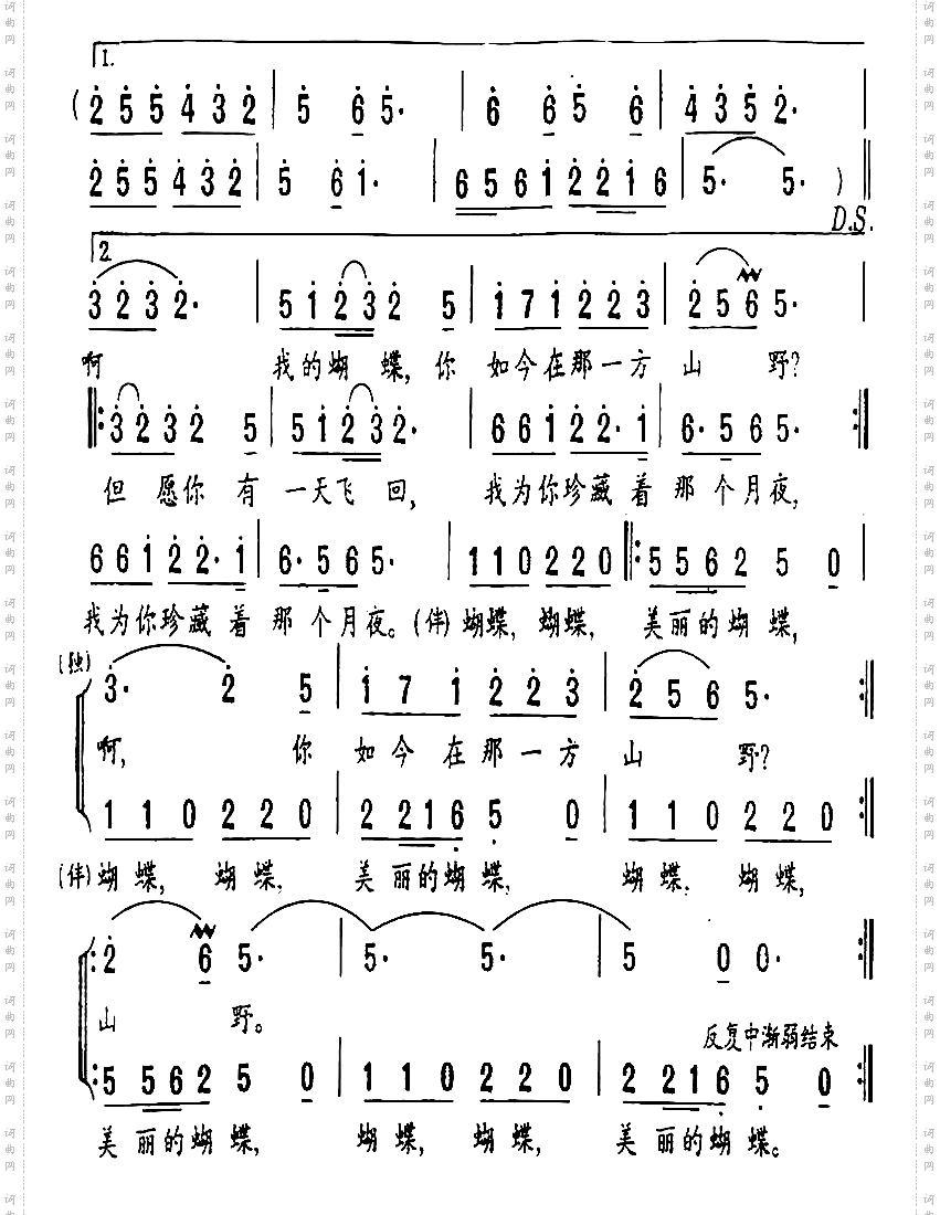 蝴蝶