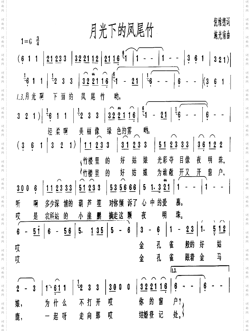 月光下的凤尾竹
