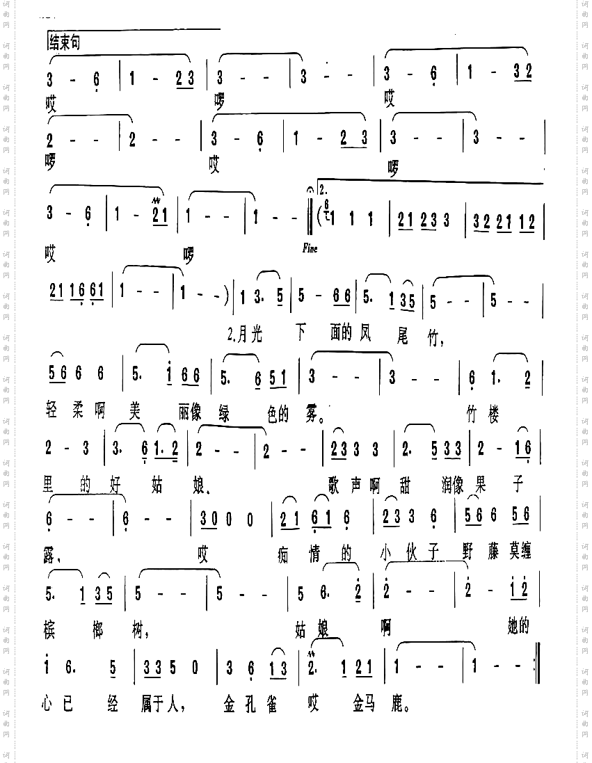 月光下的凤尾竹