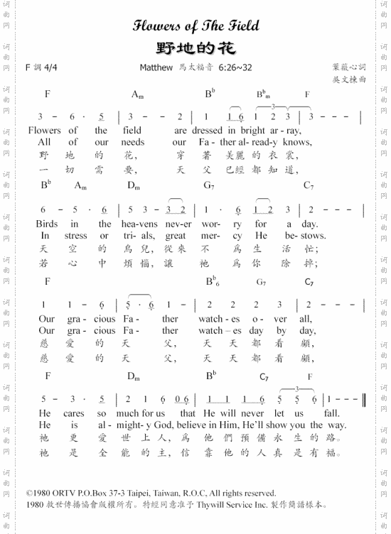 野地的花----可听