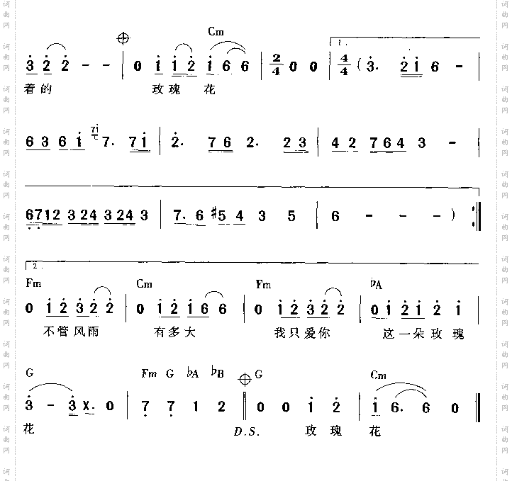 你是我的玫瑰花